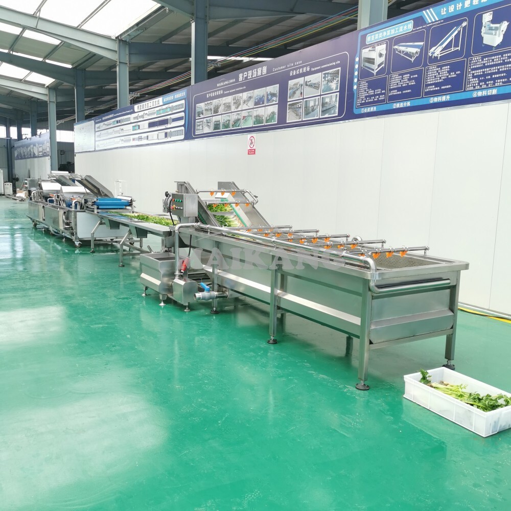 Non-destructive Vegetable Spray Washer