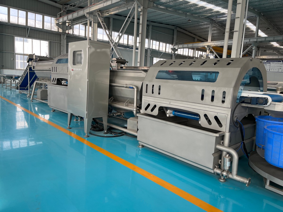 Maikang’s R&D Team Launches Intelligent High-End Vegetable Salad Production Line