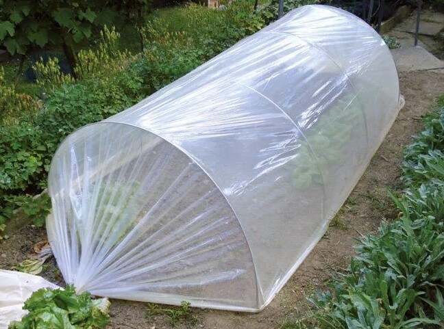 Greenhouse plastic film