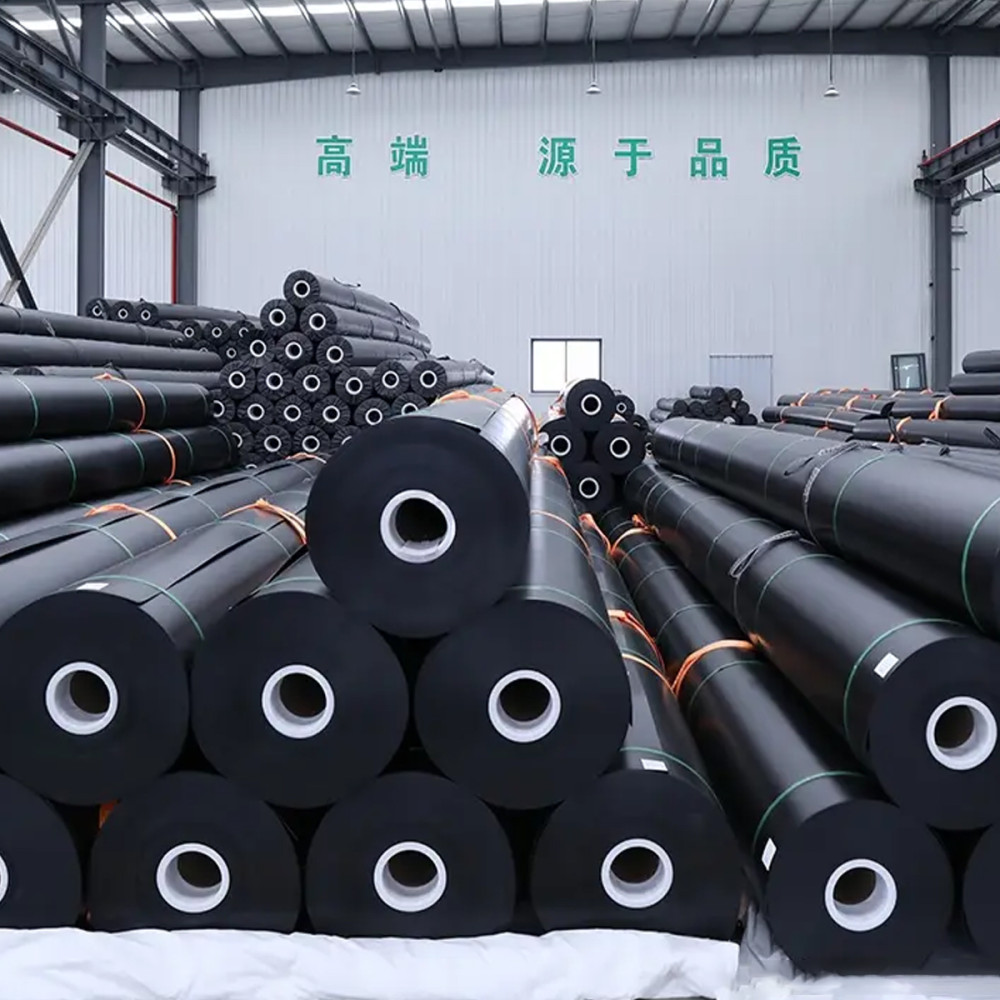 How to Choose the Right Geomembrane for Your Needs