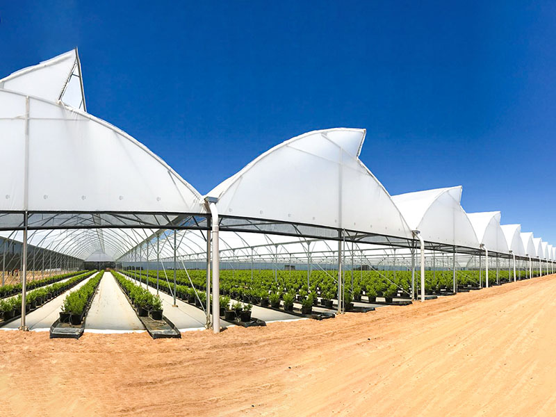 Sawtooth Greenhouse