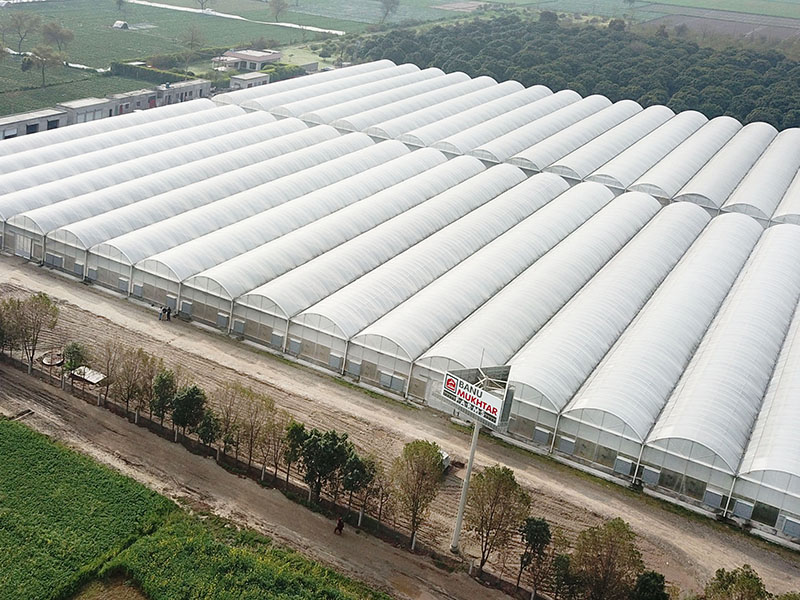 Greenhouse project in Pakistan