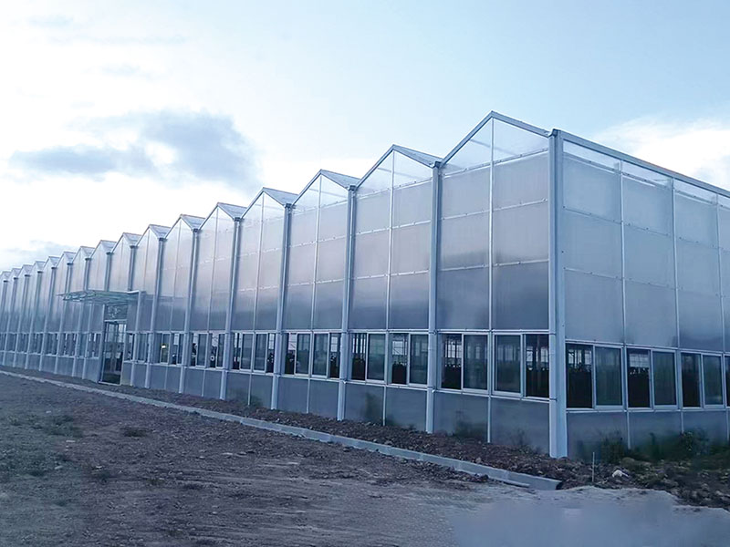 Serre à panneaux solaires