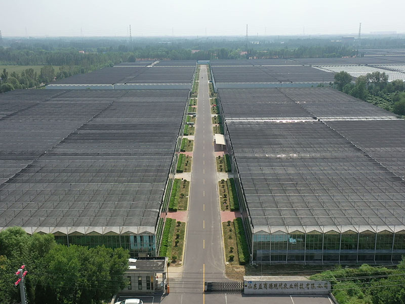 Parc floral de Jinan Shanghe