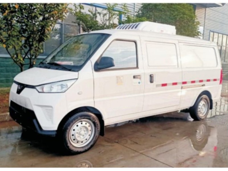 Wuling New Energy EV50 Refrigeration Car (1)
