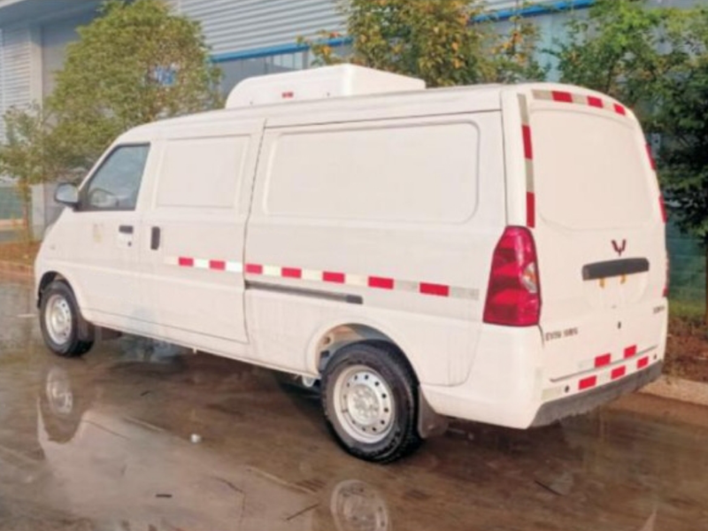 Wuling New Energy EV50 Refrigerated Truck