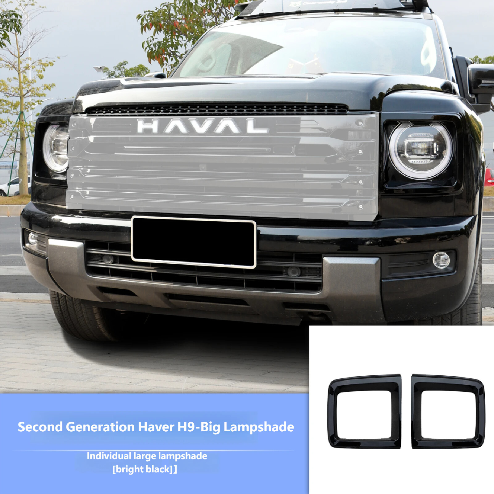 Luminous vehicle logo + Darkened front grille