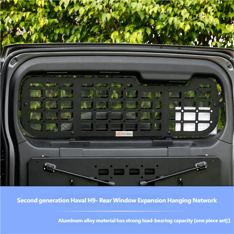 Tail door mesh screen