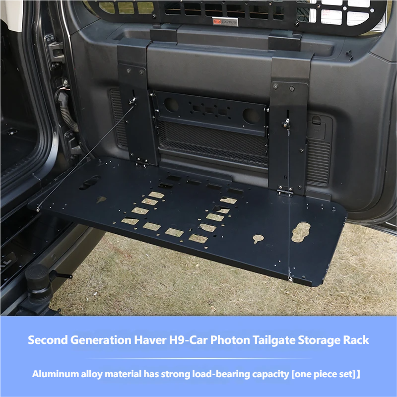 Tail door mesh screen
