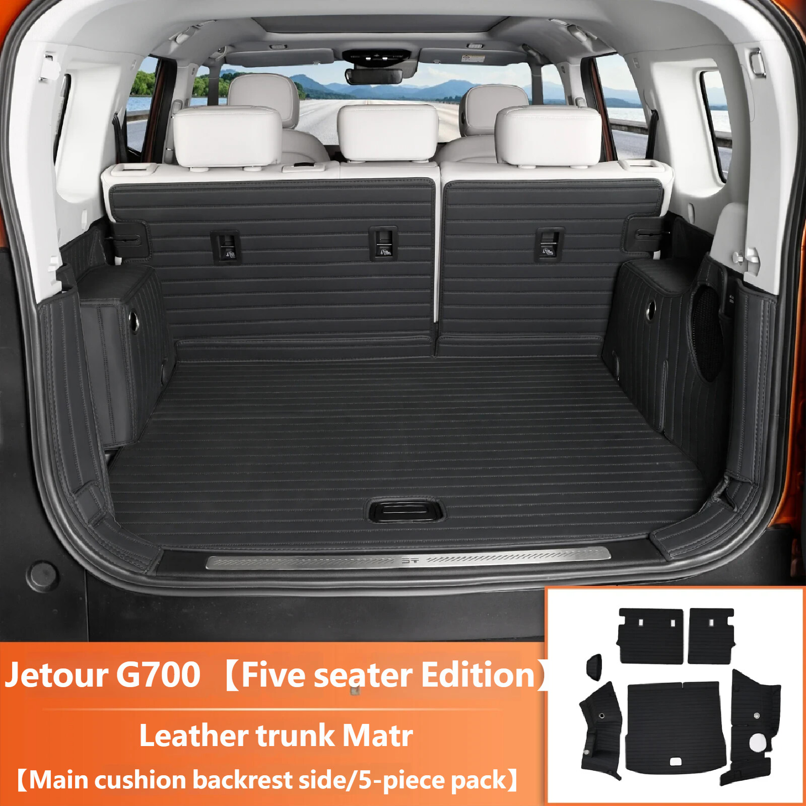 leather Trunk Matr