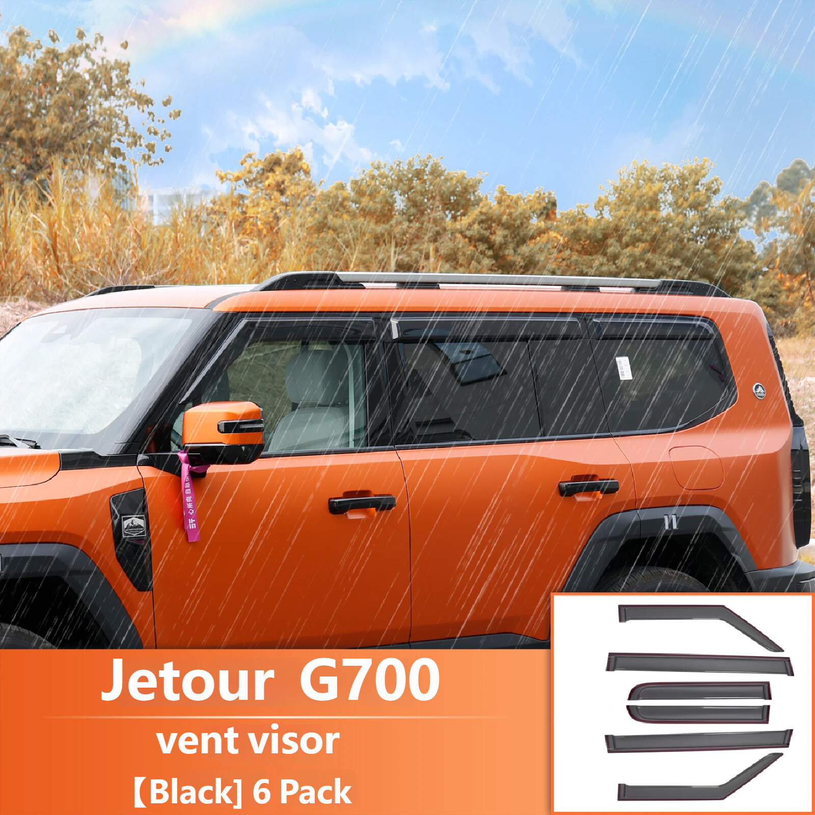 Window Visor