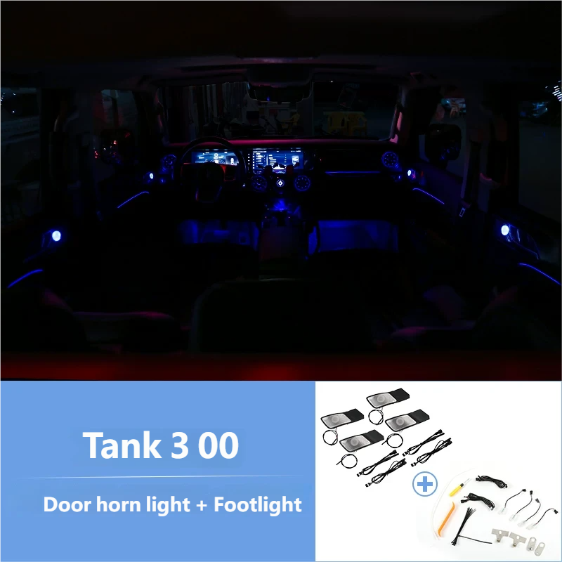 Door horn light + Footlight