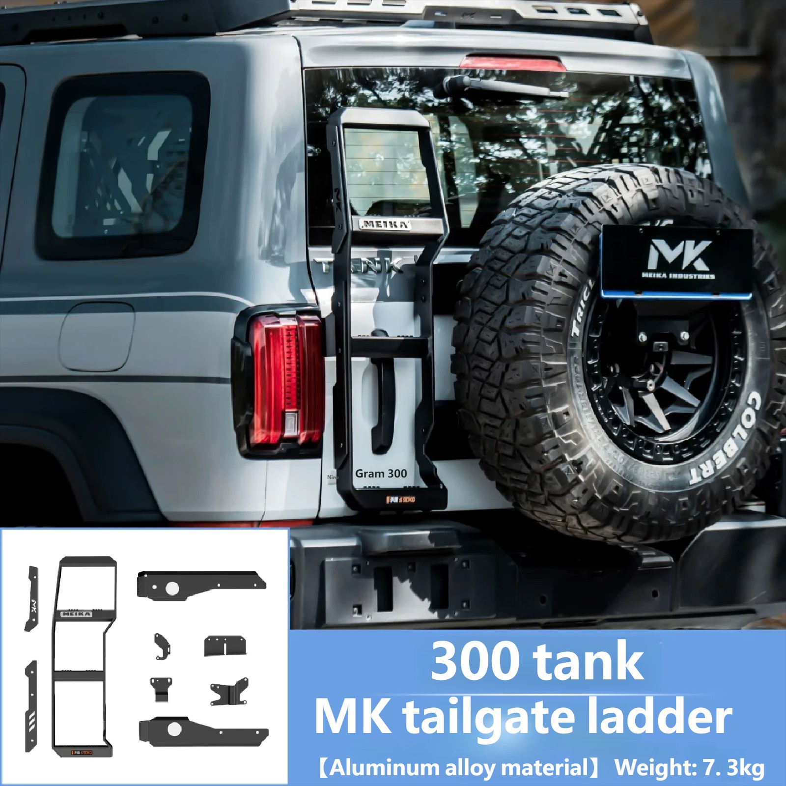 MK Tailgate ladder