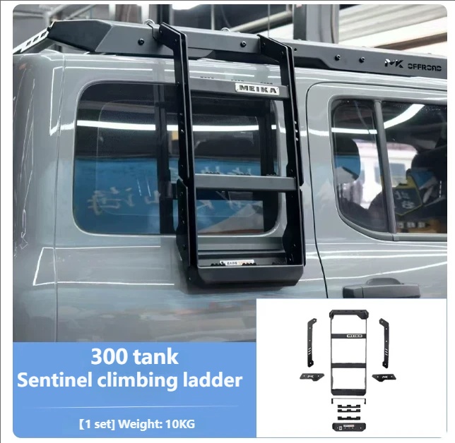 MK Sentinel climbing ladder