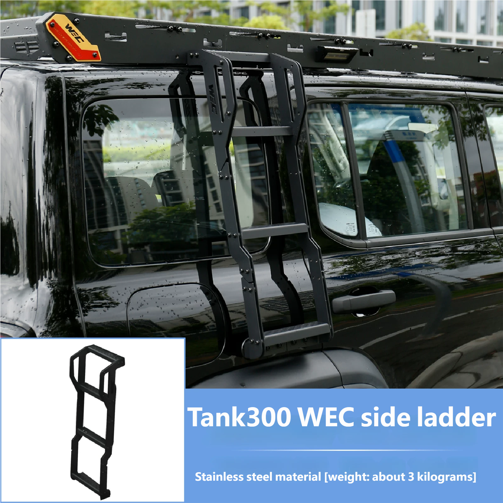 WEC side ladder