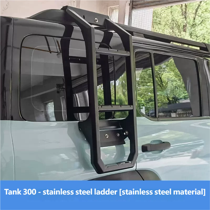 stainless steel ladder