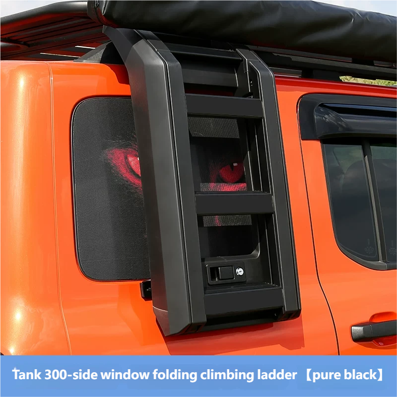 Side Window Folding Climbing Ladder 