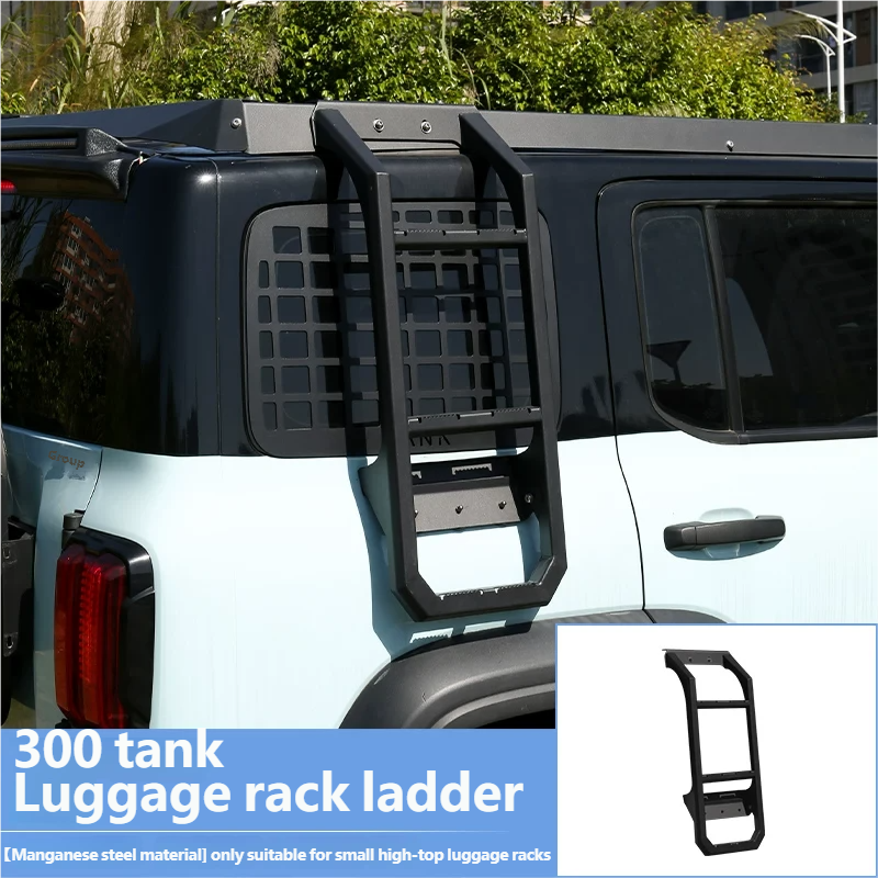 Luggage rack ladder