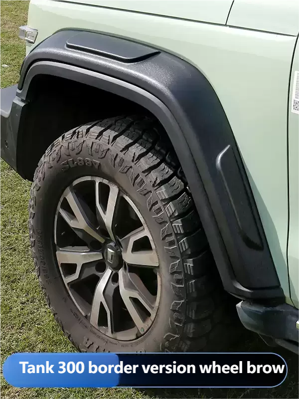 Border version wheel brow