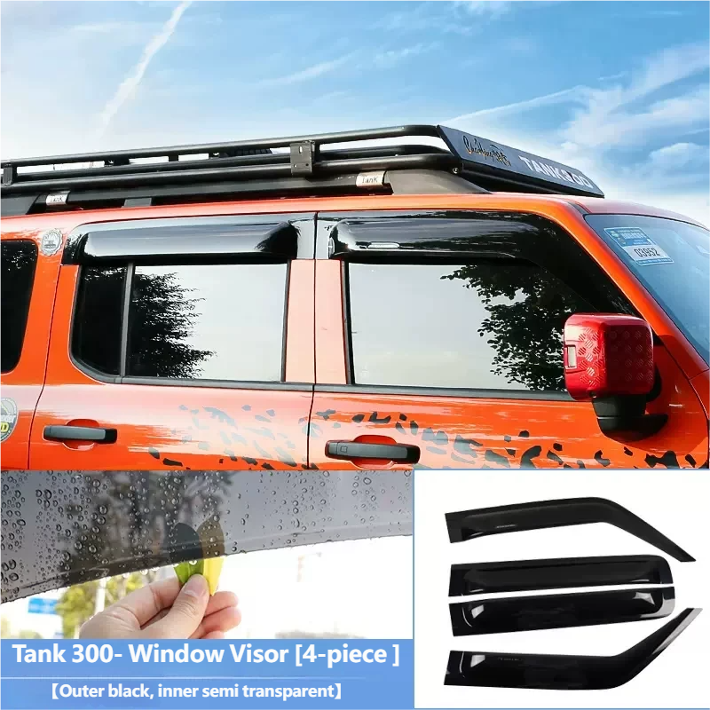 Window Visor