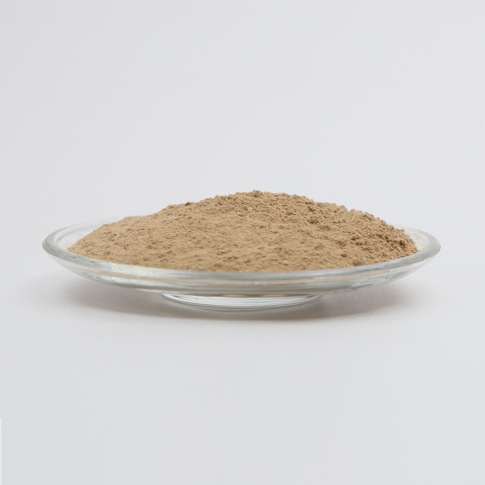 Streptomyces Hydrogenotrophicus