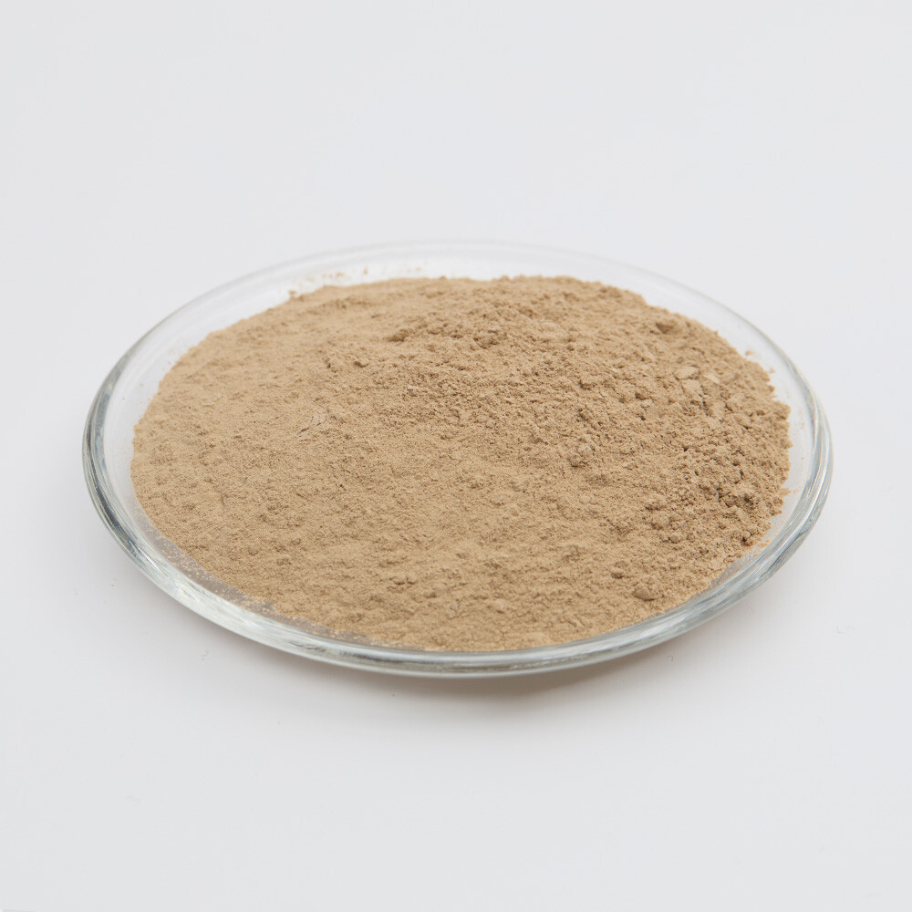 Streptomyces Hydrogenotrophicus