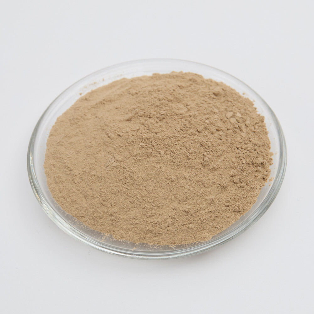 Streptomyces Hydrogenotrophicus