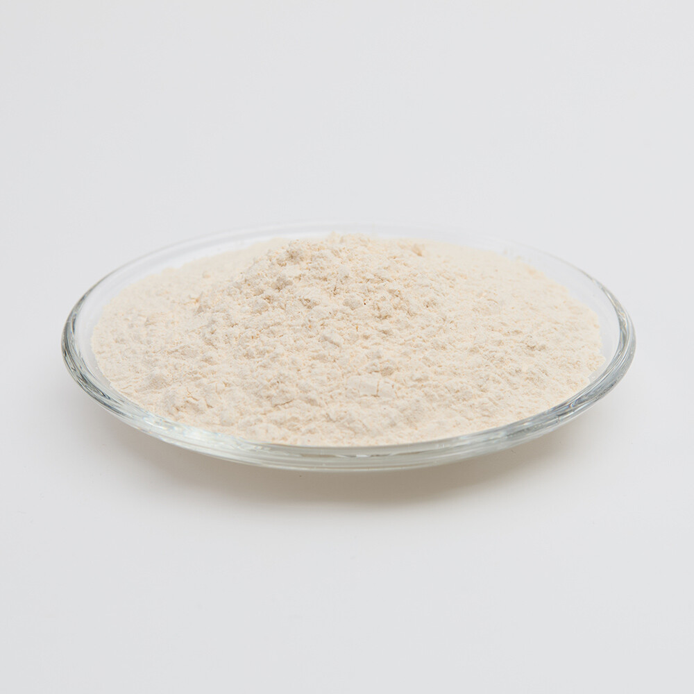 Lactic Acid Bacteria