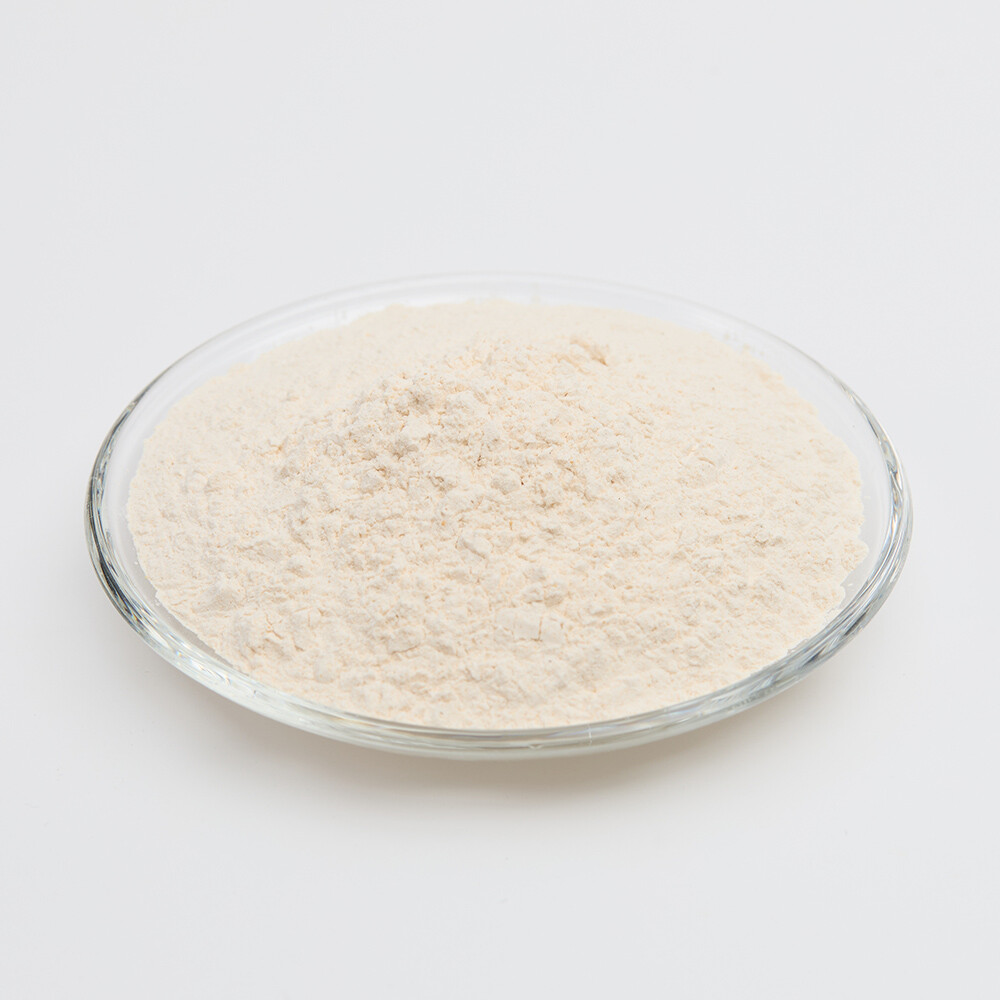 Lactic Acid Bacteria: The Key to Healthier Fermented Foods