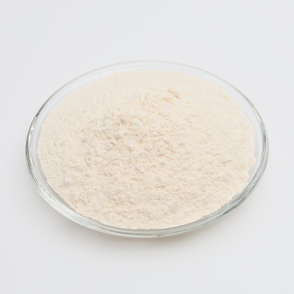 Lactic Acid Bacteria