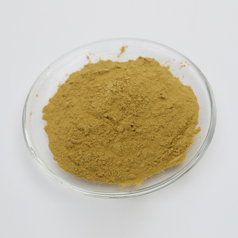 Aspergillus Oryzae DS for Brewing