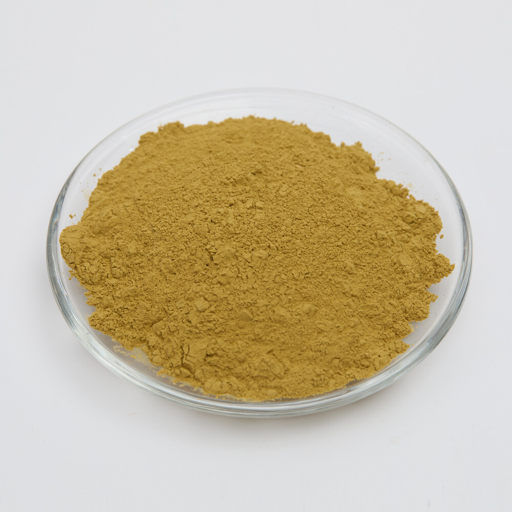 Aspergillus Oryzae for Brewing