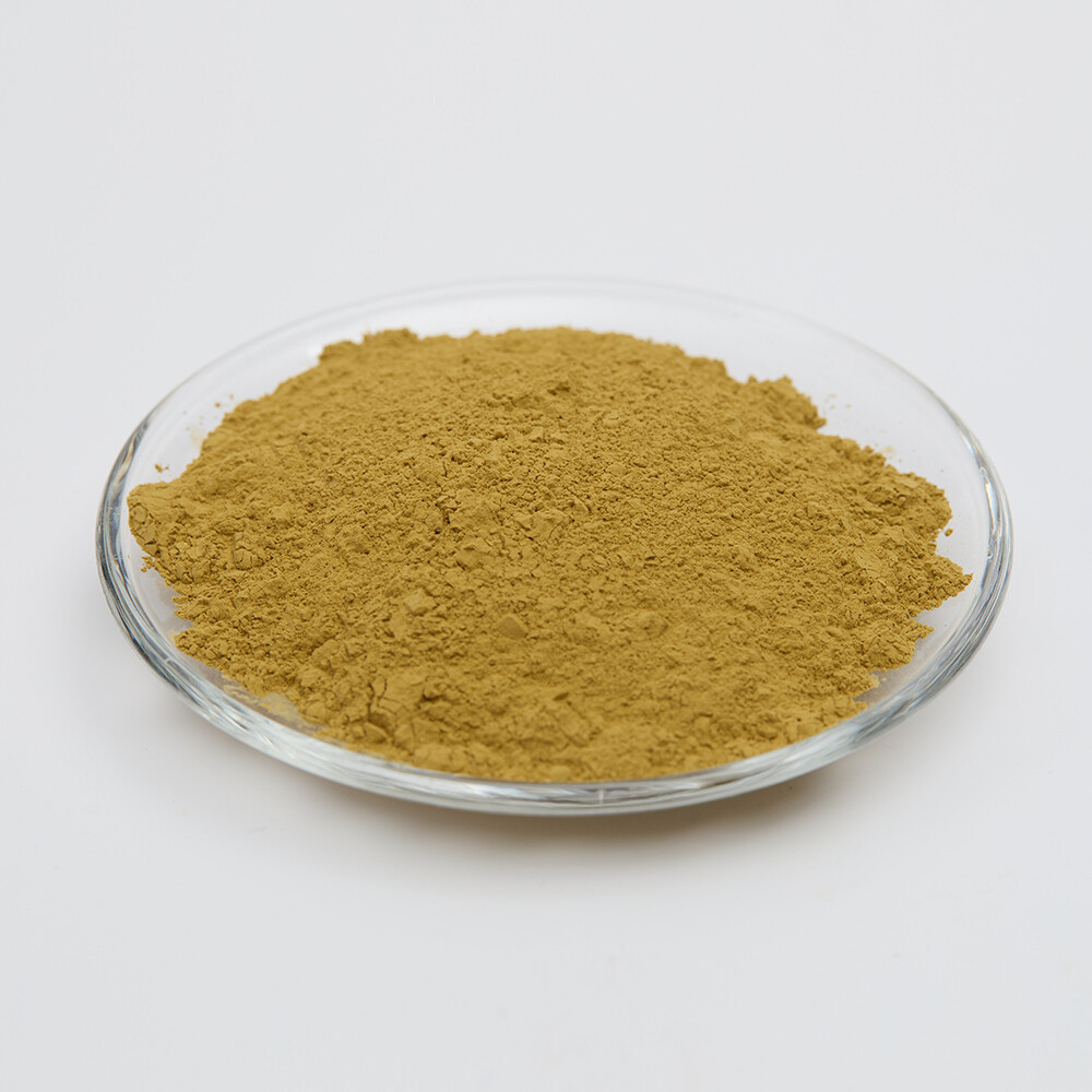 Aspergillus Oryzae for Brewing