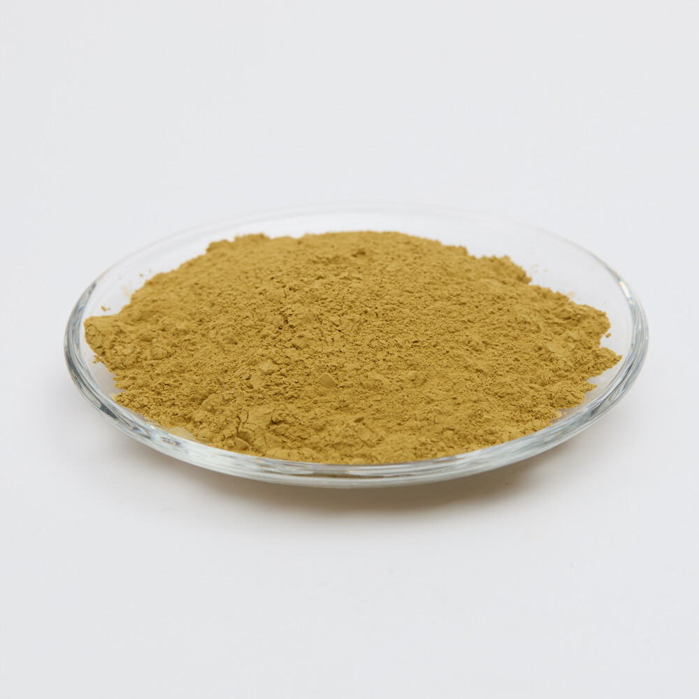 Aspergillus Oryzae: The Ancient Fungus Powering Modern Biotech