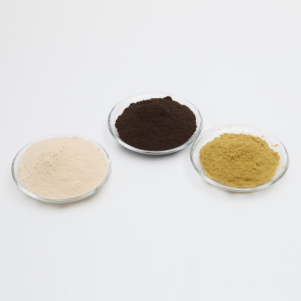 Rice+Black+White Aspergillus Oryzae