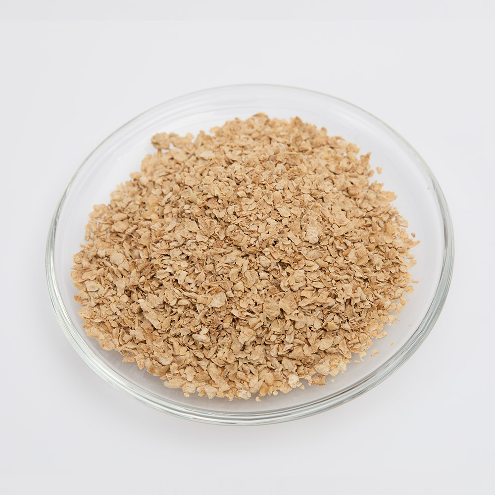 Aspergillus Albicans