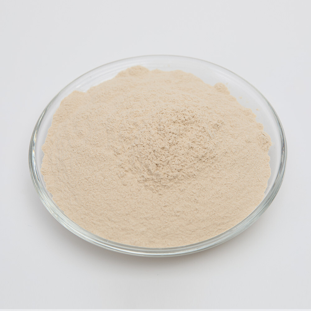 Aspergillus Kawachii