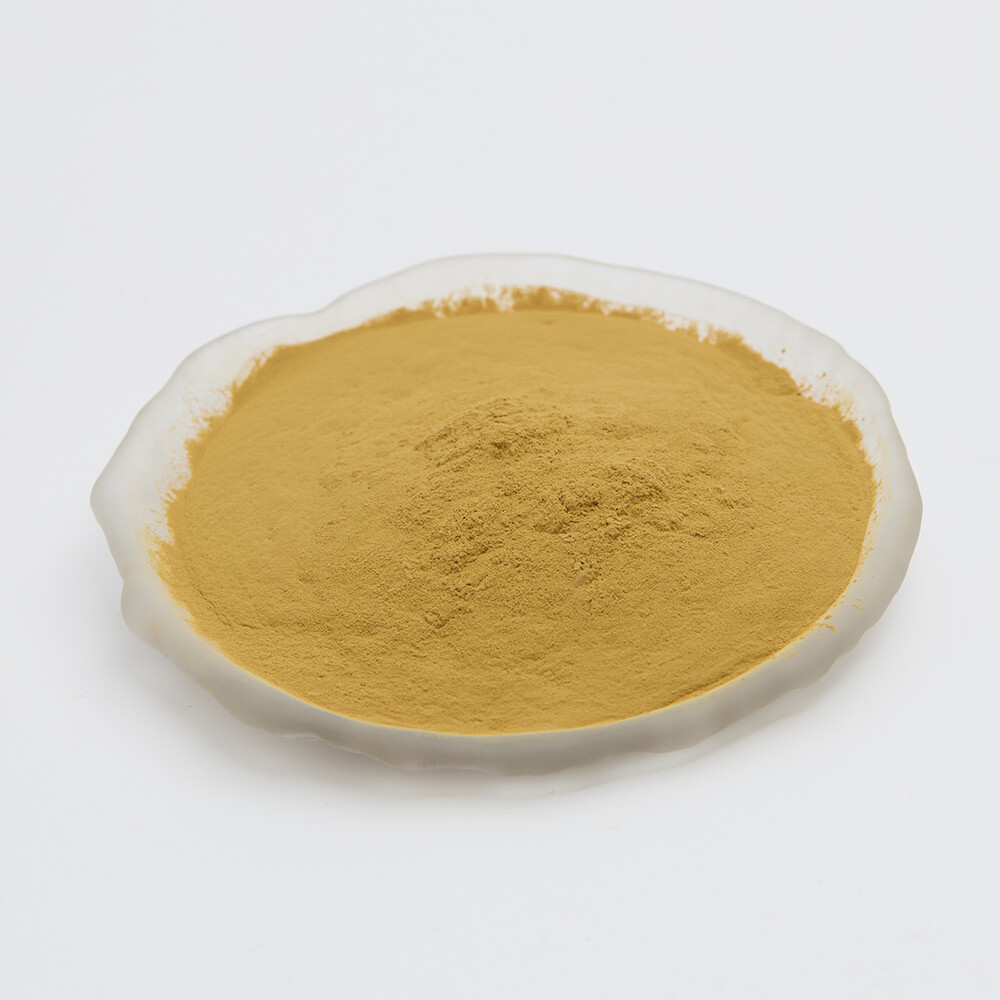 Aspergillus Oryzae in Food Tech: What You're Missing Out On