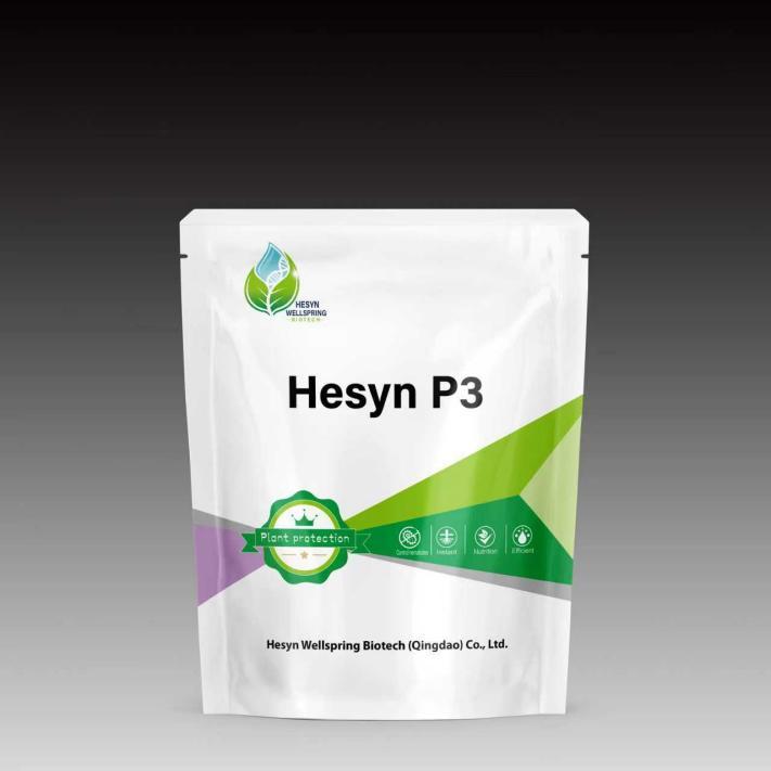 Hesyn P3