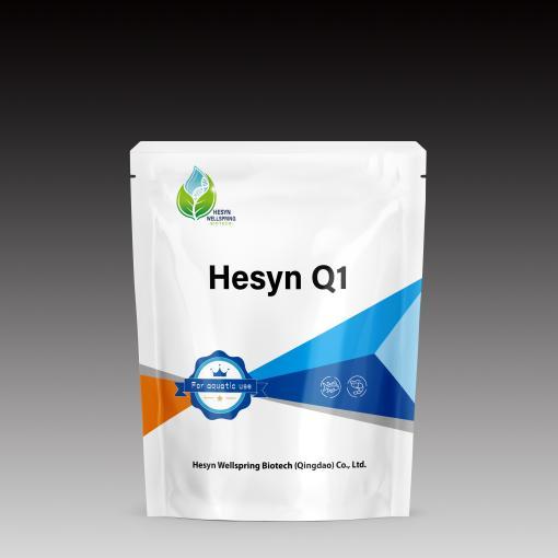 Hesyn Q1
