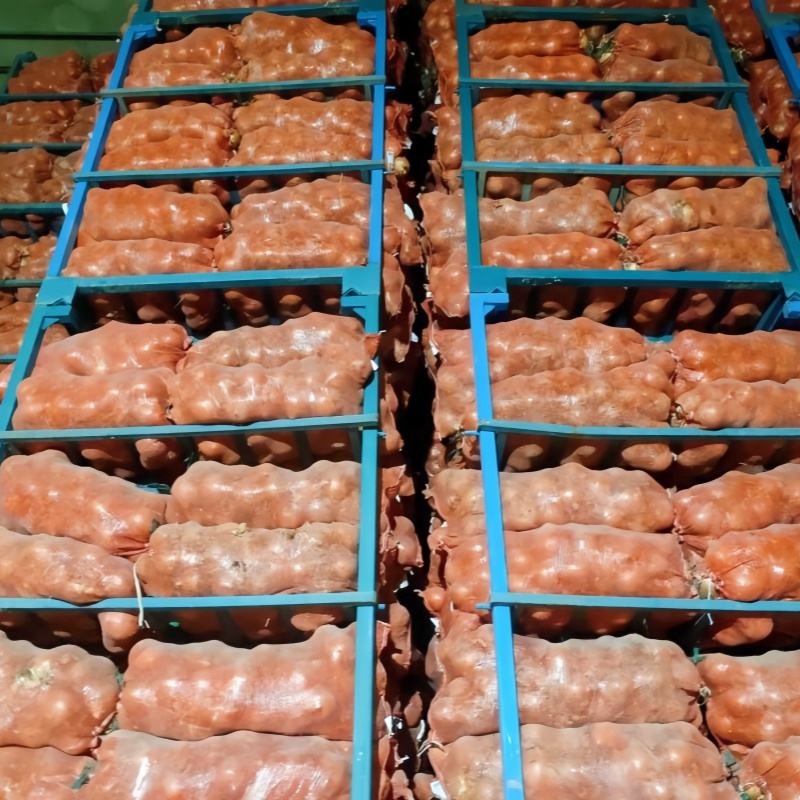 Органический желтый лук