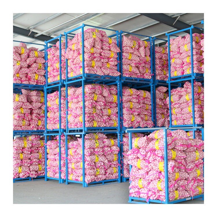 Весенний белый чеснок