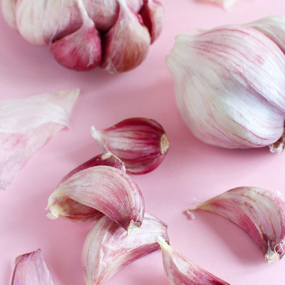 Органический свежий чеснок нового урожая