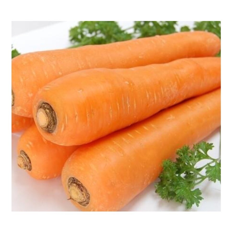 Оптовая продажа свежей красной моркови