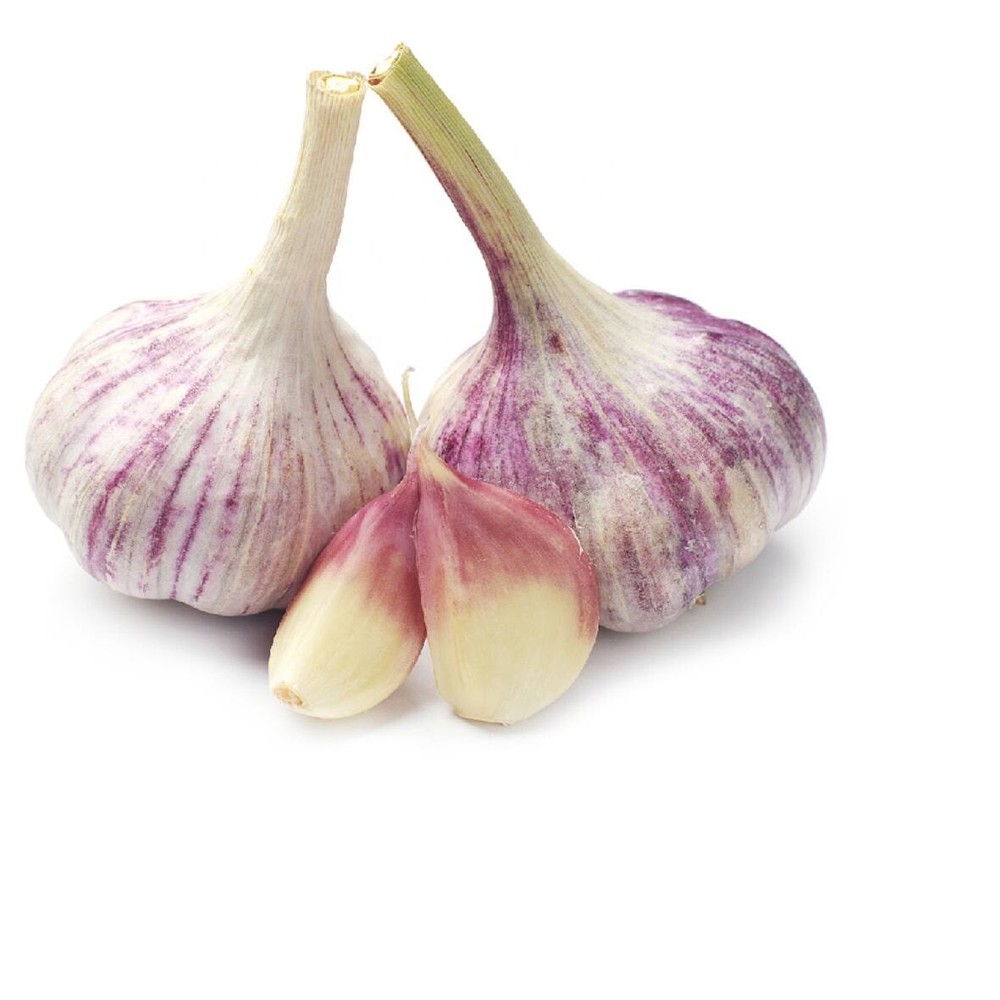 Spring-Violet-Garlic-