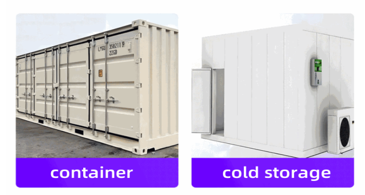 Container and reefer door seals