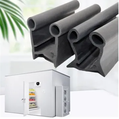 Cold storage and garage door seals
