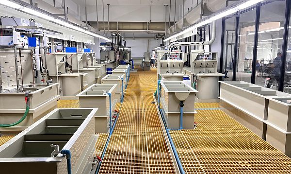 imgi_4_175981953387392