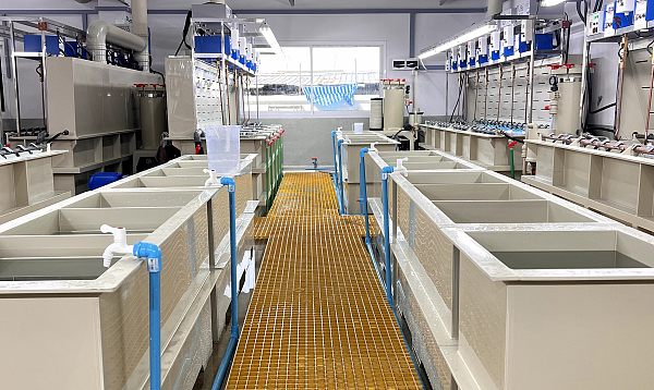 imgi_5_175981958058186