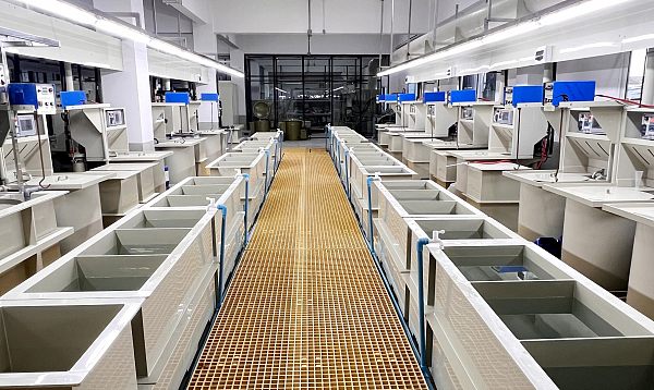 imgi_6_175982138783636